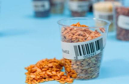 Experten warnen: Bedenken wegen Fegebanks (Foto: AdobeStock - luchschenF 625852537)