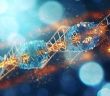 Fortschrittliche Anwendung der Gentechnik in der Medizin (Foto: AdobeStock - Mustafa 623471029)